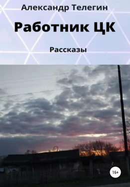 Александр Телегин Работник ЦК. Рассказы обложка книги