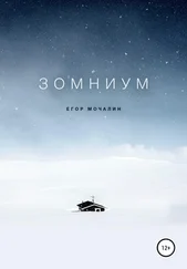 Егор Мочалин - Зомниум