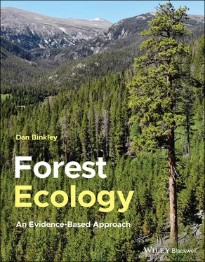 Dan Binkley Forest Ecology обложка книги