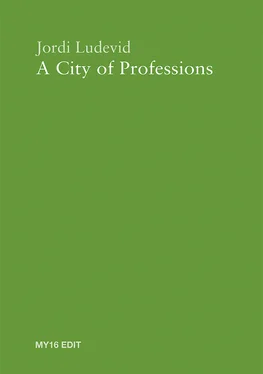 Jordi Ludevid Anglada A City of Professions обложка книги