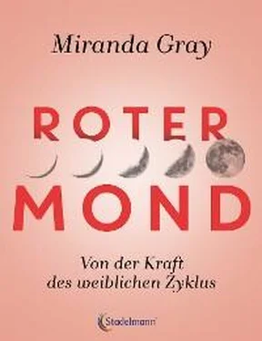 Miranda Gray Roter Mond обложка книги