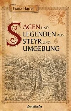 Franz Harrer Sagen und Legenden aus Steyr und Umgebung обложка книги