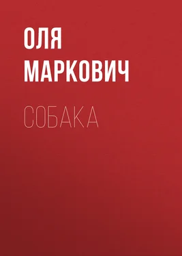 Оля Маркович Собака обложка книги