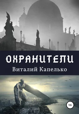 Виталий Капелько Охранители обложка книги
