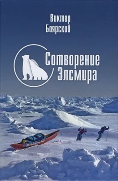 Виктор Боярский Сотворение Элсмира обложка книги