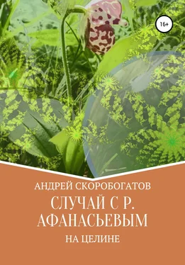 Андрей Скоробогатов Случай с Р. Афанасьевым на целине обложка книги