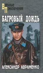 Александр Авраменко - Багровый дождь