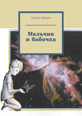 Сергей Лебедев Мальчик и бабочка обложка книги