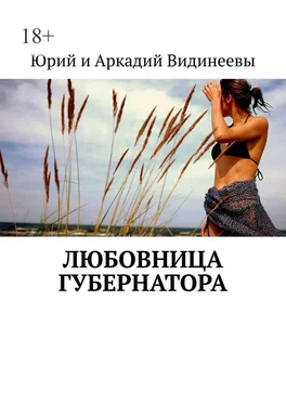 Юрий и Аркадий Видинеевы Любовница губернатора обложка книги