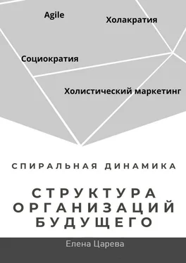 Елена Царева Структура организаций будущего обложка книги
