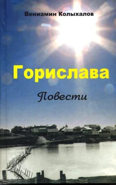 Вениамин Колыхалов Горислава обложка книги