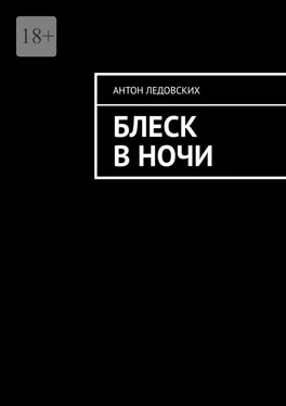 Антон Ледовских Блеск в ночи обложка книги