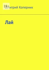 Дмитрий Коперник - Лай