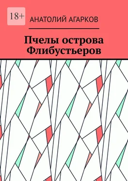 Анатолий Агарков Пчелы острова Флибустьеров обложка книги