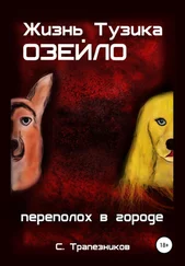 Сергей Трапезников - Жизнь Тузика Озейло. Переполох в городе
