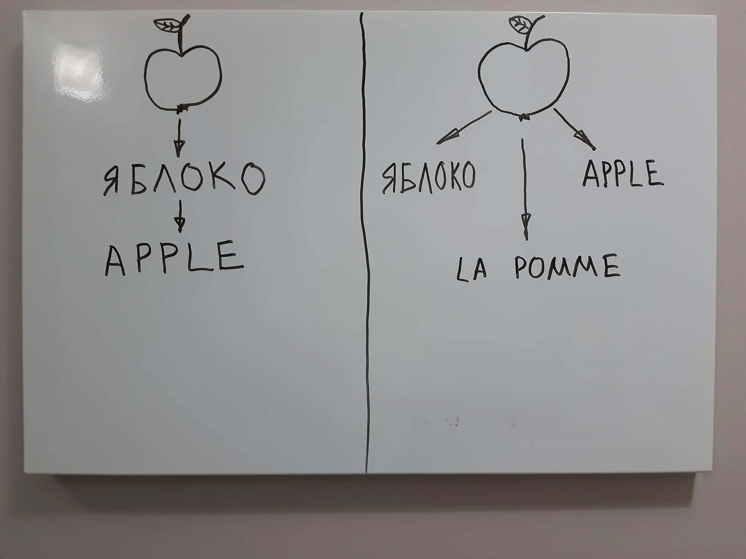 ConsultantThis is how our sciences are divided Biologists have one language - фото 7