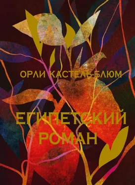 Орли Кастель-Блюм Египетский роман обложка книги