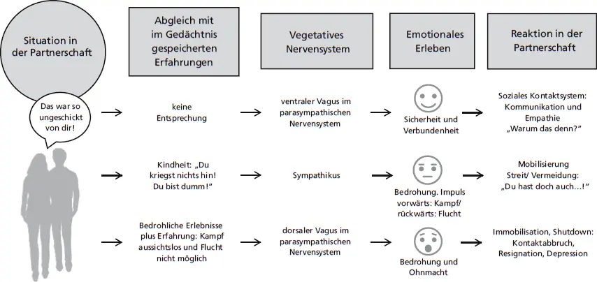 Abb 41 Polyvagaltheorie entsprechend aktiviert und kommen aus dem Kreislauf - фото 14