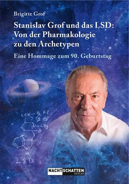 Brigitte Grof Stanislav Grof und das LSD обложка книги