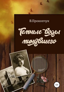 Вера Прокопчук Темные воды минувшего обложка книги