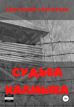 Анатолий Григорьев Судьба калмыка обложка книги