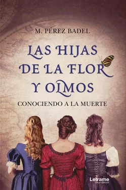 M. Pérez Badel Las hijas de la flor y olmos обложка книги