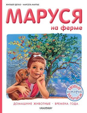 Марсель Марлье Маруся на ферме : Домашние животные. Времена года обложка книги