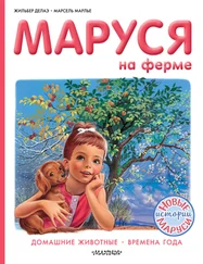 Марсель Марлье - Маруся на ферме  - Домашние животные. Времена года