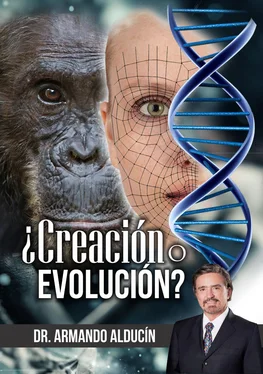 Armando Alducin ¿Creación o Evolución? обложка книги
