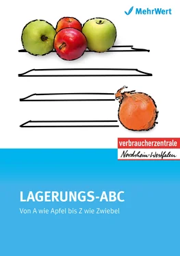 Marina Klein Das Lagerungs-ABC обложка книги