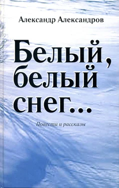 Александр Александров Белый, белый снег… (сборник) обложка книги