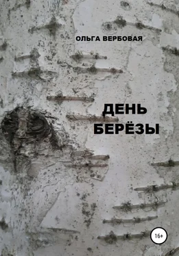 Ольга Вербовая День Березы обложка книги