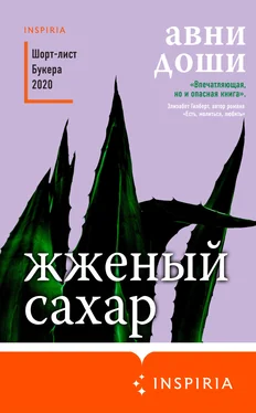 Авни Доши Жженый сахар обложка книги