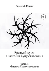 Евгений Рекин - Краткий курс анатомии Существования. Часть 1. Физика Существования
