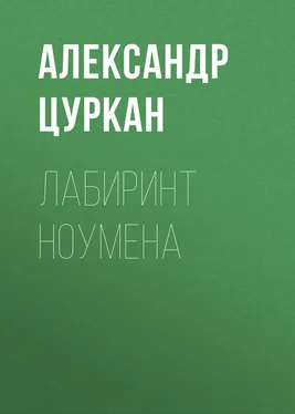 Александр Цуркан Лабиринт ноумена обложка книги