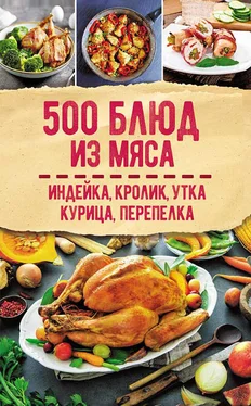 Сборник рецептов 500 блюд из мяса. Индейка, кролик, утка, курица, перепелка обложка книги