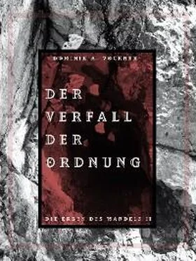 Doninik A. Vockner Der Verfall der Ordnung обложка книги