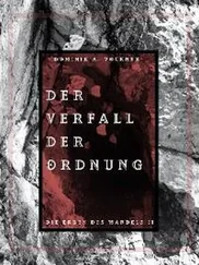 Doninik A. Vockner - Der Verfall der Ordnung