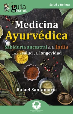 Rafael Santamaría GuíaBurros: Medicina Ayurvédica обложка книги