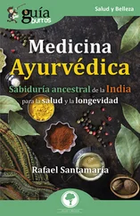 Rafael Santamaría - GuíaBurros - Medicina Ayurvédica