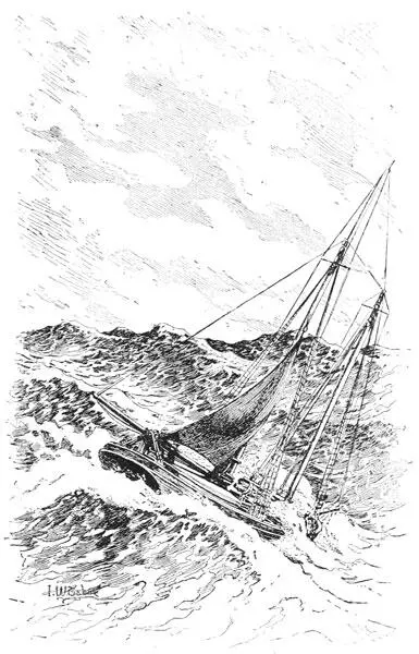 it was thick weather outside with a rising wind the nosing bows slapped and - фото 12