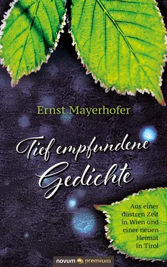 Ernst Mayerhofer Tief empfundene Gedichte обложка книги