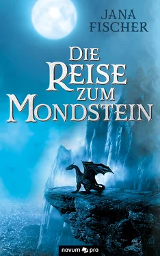 Jana Fischer Die Reise zum Mondstein обложка книги