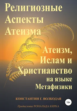 Константин Волкодав Религиозные аспекты атеизма: атеизм, ислам и христианство на языке метафизики обложка книги