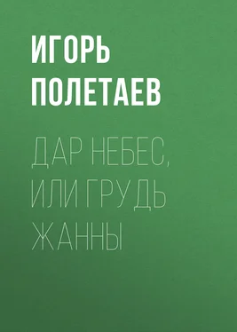 Игорь Полетаев Дар Небес, или Грудь Жанны обложка книги