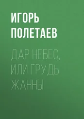 Игорь Полетаев - Дар Небес, или Грудь Жанны