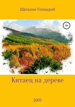 Геннадий Шаталин Китаец на дереве обложка книги