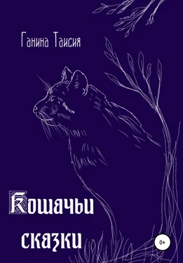 Таисия Ганина Кошачьи сказки обложка книги