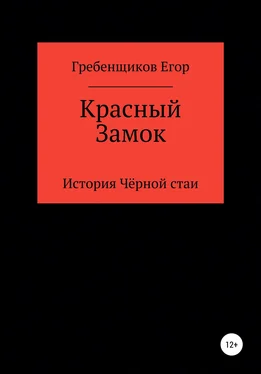 Егор Гребенщиков Красный Замок обложка книги