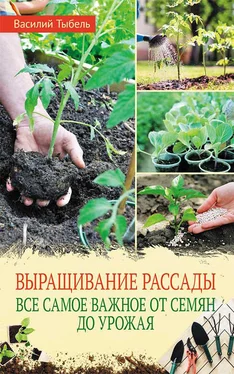 Василий Тыбель Выращивание рассады. Все самое важное от семян до урожая обложка книги